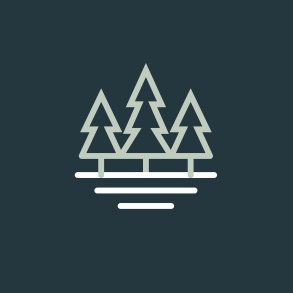 Snehvid luksus fra nyfældede træer